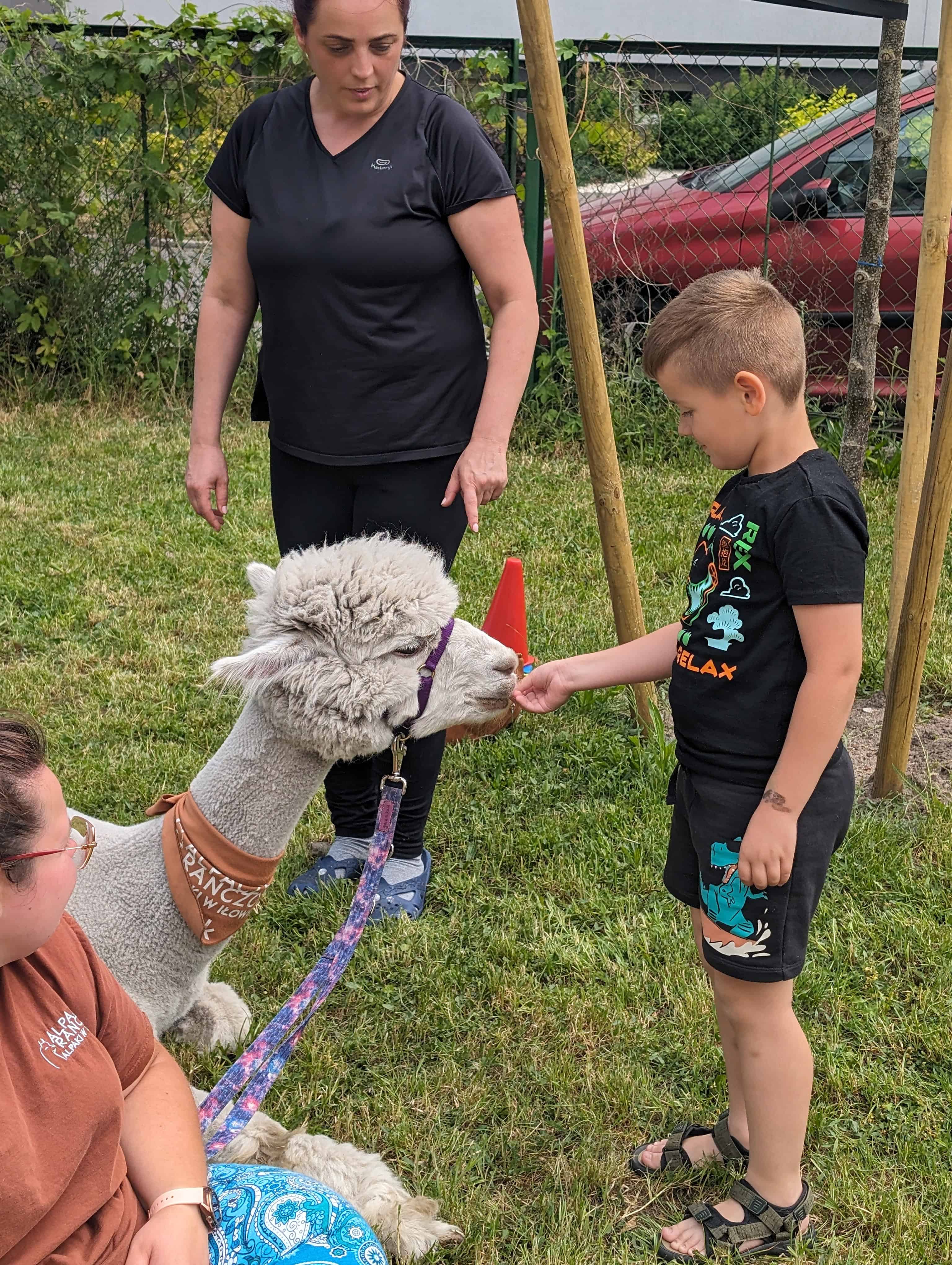 Maj w grupie Misiów był bardzo ekscytujący. 