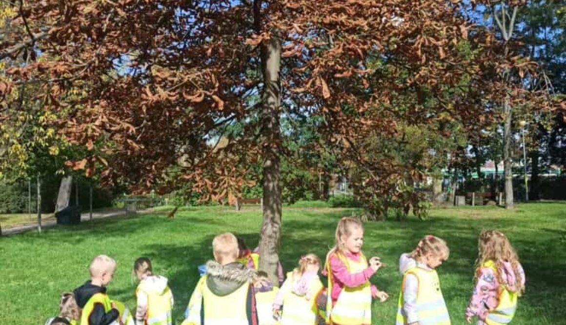 Październik u Biedronek