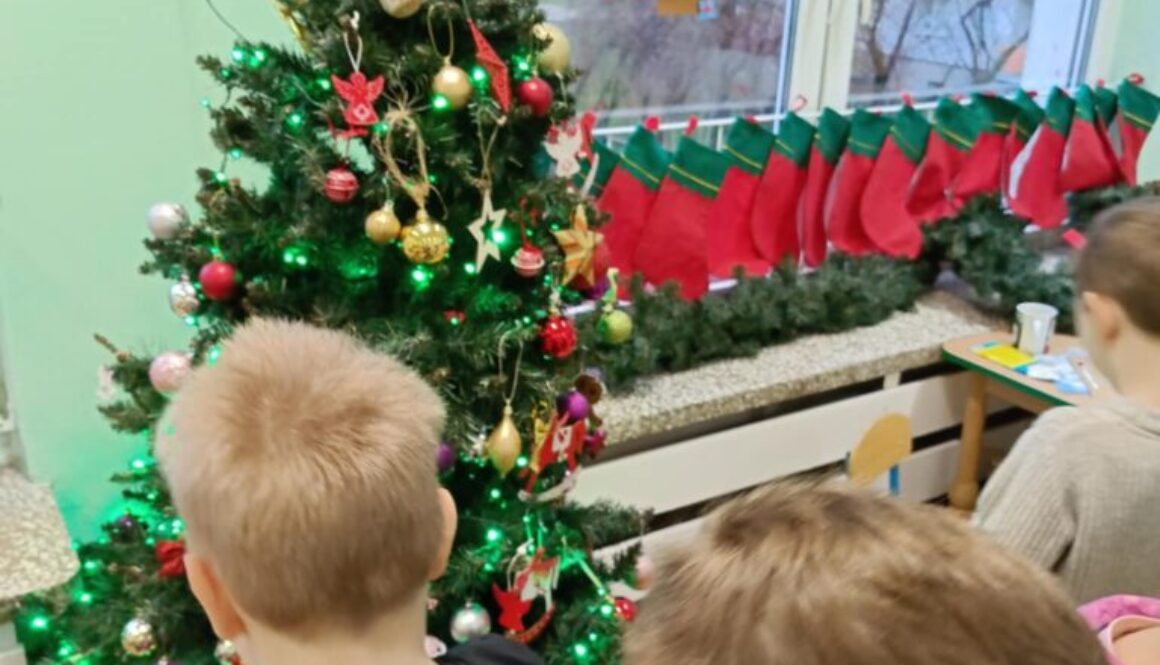 Grudniowe szaleństwo Żabek