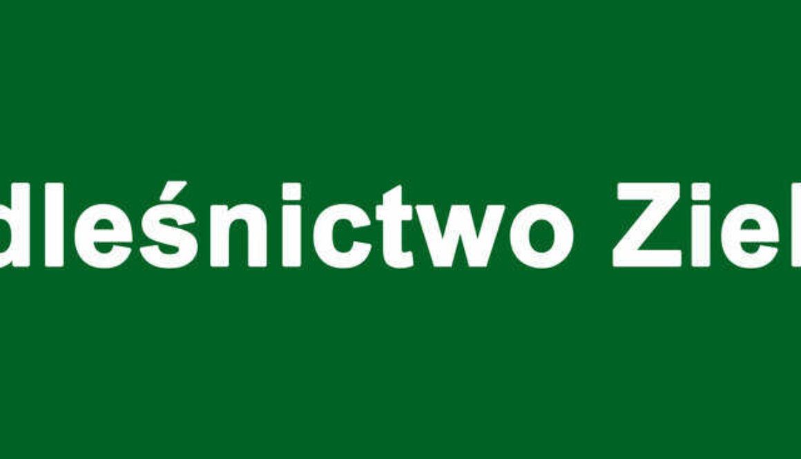 Wyniki konkursu „EKOMOBIL DLA EKOLUDKA” 