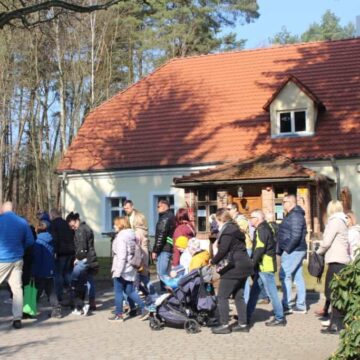 „Wiosna, wiosna, wiosna – ach, to Ty! 🌸