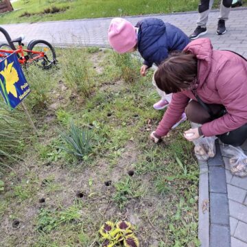 Akcja „Pola Nadziei”