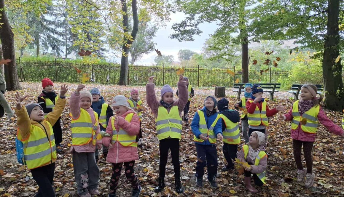 Kotki w jesiennym Parku Piastowskim