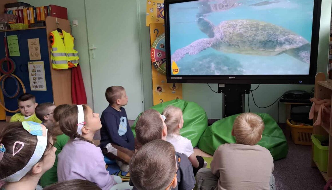 Maj w grupie Kotków